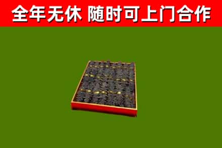 兴化市回收海参